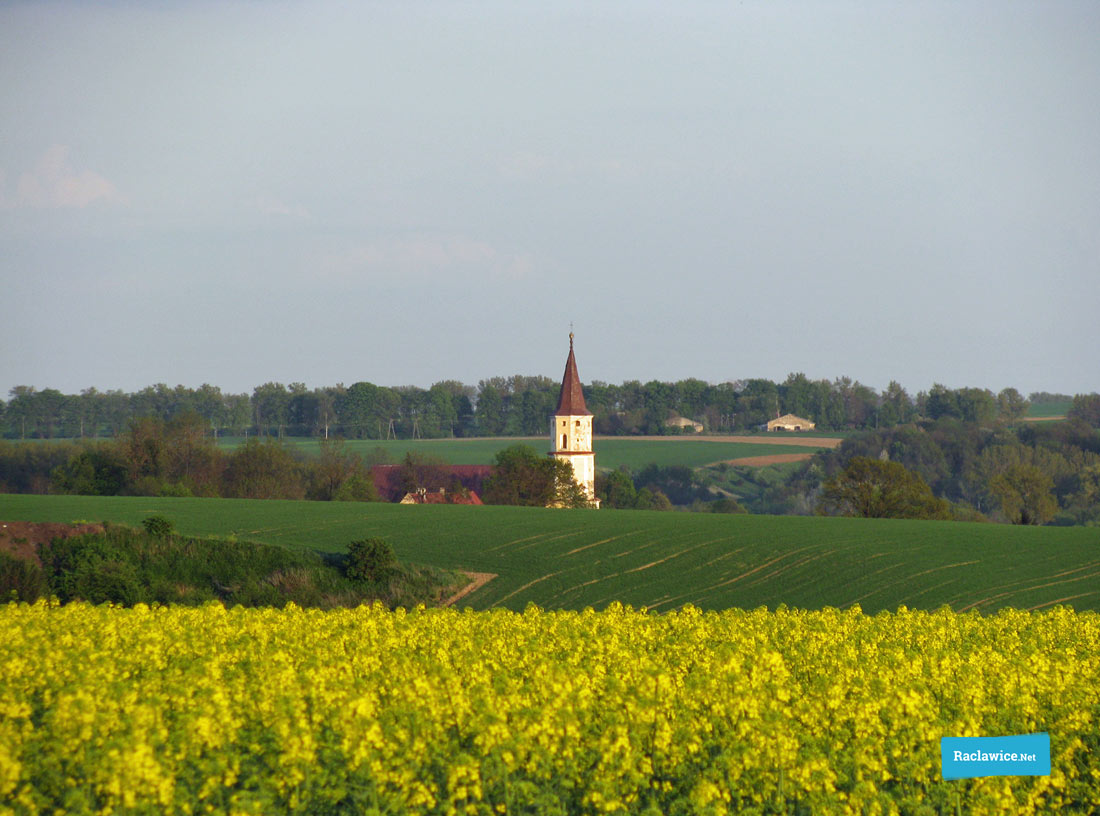 Zdjęcie pikniku kolejowego