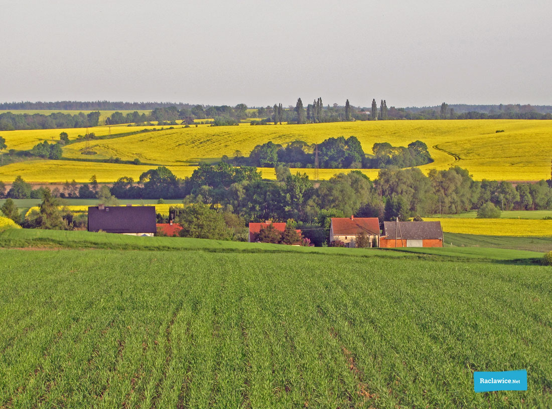 Zdjęcie pikniku kolejowego